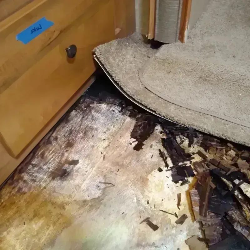 Wood Floor Water Damage in Champlin, MN